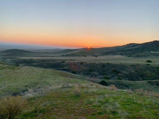 Carrizo Plains